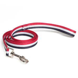 Dog or Cat Leash Collar Set 50" Length Leash 10"~20" Adjustable Collar Pet Outdoor Walk Leash Collar Set Fashion Pet Decoration