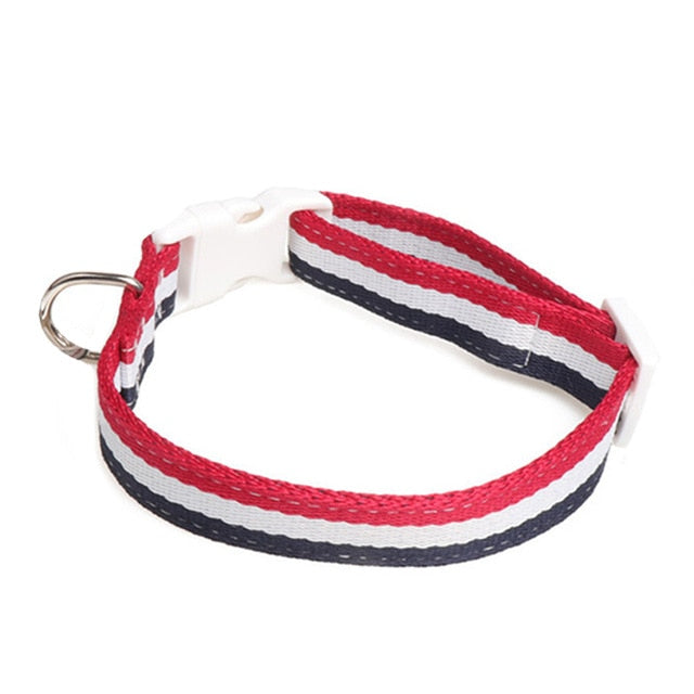 Dog or Cat Leash Collar Set 50