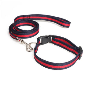 Dog or Cat Leash Collar Set 50" Length Leash 10"~20" Adjustable Collar Pet Outdoor Walk Leash Collar Set Fashion Pet Decoration