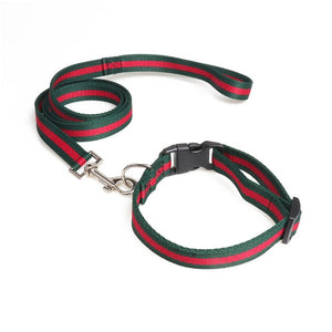 Dog or Cat Leash Collar Set 50" Length Leash 10"~20" Adjustable Collar Pet Outdoor Walk Leash Collar Set Fashion Pet Decoration