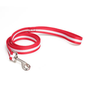 Dog or Cat Leash Collar Set 50" Length Leash 10"~20" Adjustable Collar Pet Outdoor Walk Leash Collar Set Fashion Pet Decoration