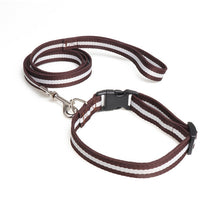 Load image into Gallery viewer, Dog or Cat Leash Collar Set 50&quot; Length Leash 10&quot;~20&quot; Adjustable Collar Pet Outdoor Walk Leash Collar Set Fashion Pet Decoration
