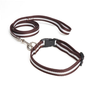 Dog or Cat Leash Collar Set 50" Length Leash 10"~20" Adjustable Collar Pet Outdoor Walk Leash Collar Set Fashion Pet Decoration