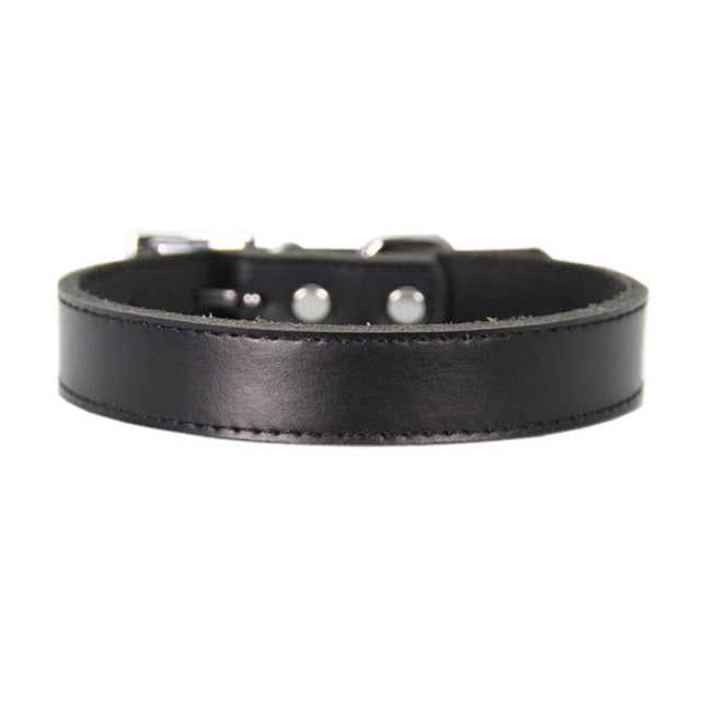 pawstrip XS-XL Genuine Leather Dog Collar Adjustable Pet Cat Collar Chihuahua Puppy Neck Strap