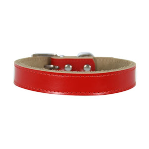 pawstrip XS-XL Genuine Leather Dog Collar Adjustable Pet Cat Collar Chihuahua Puppy Neck Strap