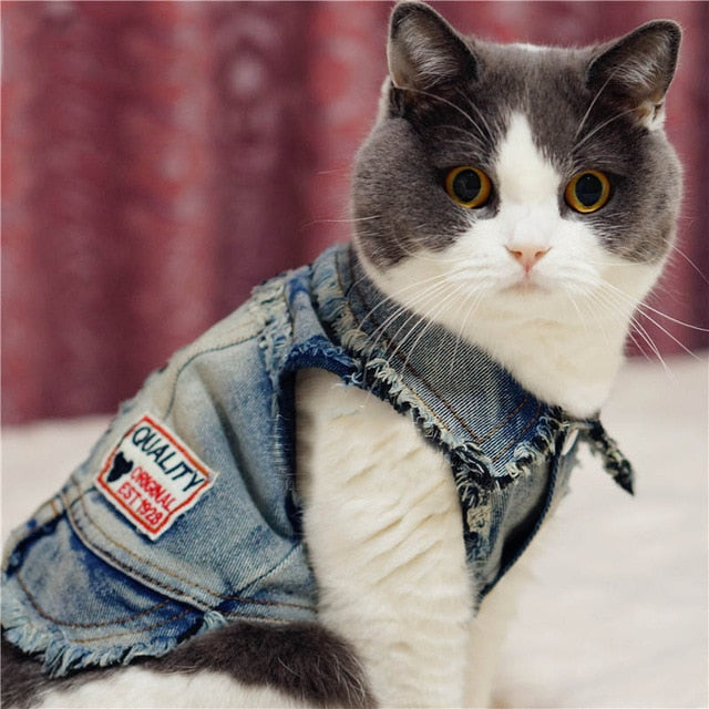 Dog Clothes Denim Jacket Fashion Pet Clothes For Puppy Chihuahua Dogs Cowboy Clothing Spring And Autumn Cat Coat Jeans 05