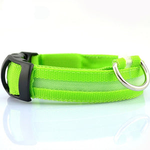2.5cm Wide XS-XL Nylon Pet Dog Collar LED Light Night Safety Glowing Pet Supplies Cat LED Dog Collar For Small Dogs LED Collars