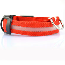Load image into Gallery viewer, 2.5cm Wide XS-XL Nylon Pet Dog Collar LED Light Night Safety Glowing Pet Supplies Cat LED Dog Collar For Small Dogs LED Collars
