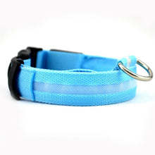 Load image into Gallery viewer, 2.5cm Wide XS-XL Nylon Pet Dog Collar LED Light Night Safety Glowing Pet Supplies Cat LED Dog Collar For Small Dogs LED Collars
