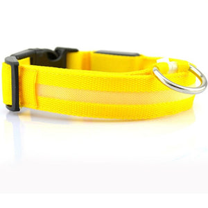 2.5cm Wide XS-XL Nylon Pet Dog Collar LED Light Night Safety Glowing Pet Supplies Cat LED Dog Collar For Small Dogs LED Collars