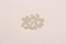 Load image into Gallery viewer, 20pcs Cat Nail Caps Paw Pet Cat Grooming Nail Cat Accessories  Pet Products for Cat Supplies Gatos Accesorios
