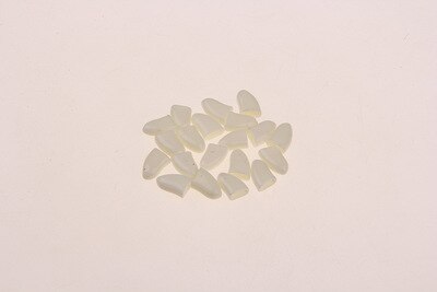 20pcs Cat Nail Caps Paw Pet Cat Grooming Nail Cat Accessories  Pet Products for Cat Supplies Gatos Accesorios